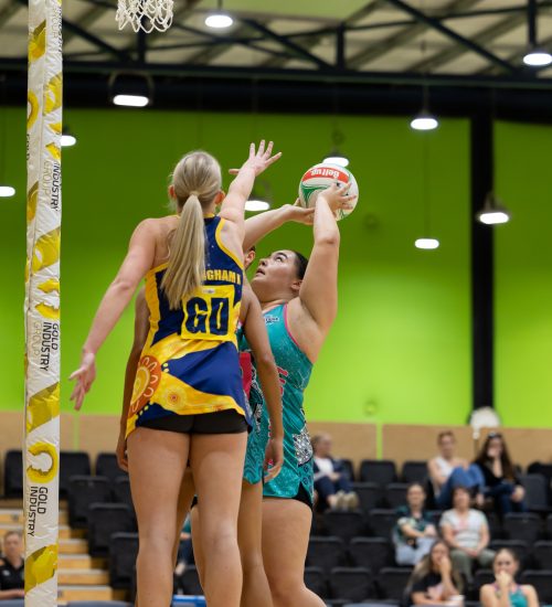 486646502_665249843121619_342278344180246633_n